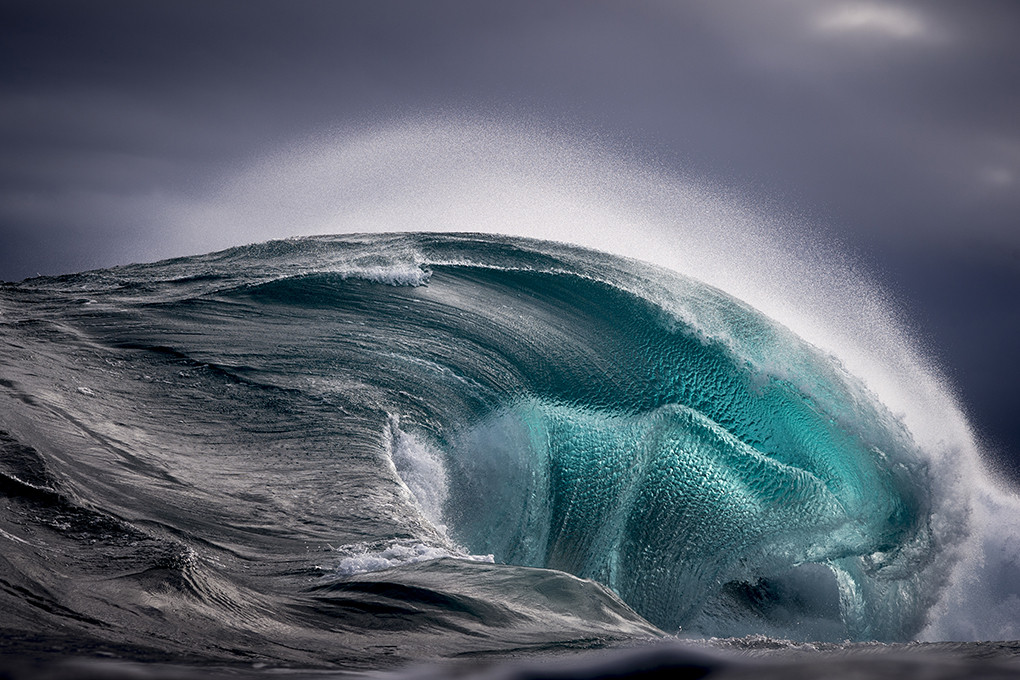 Found at Sea by Ray Collins